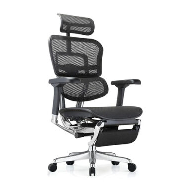 Ergohuman 2 Luxury Mesh Legrest