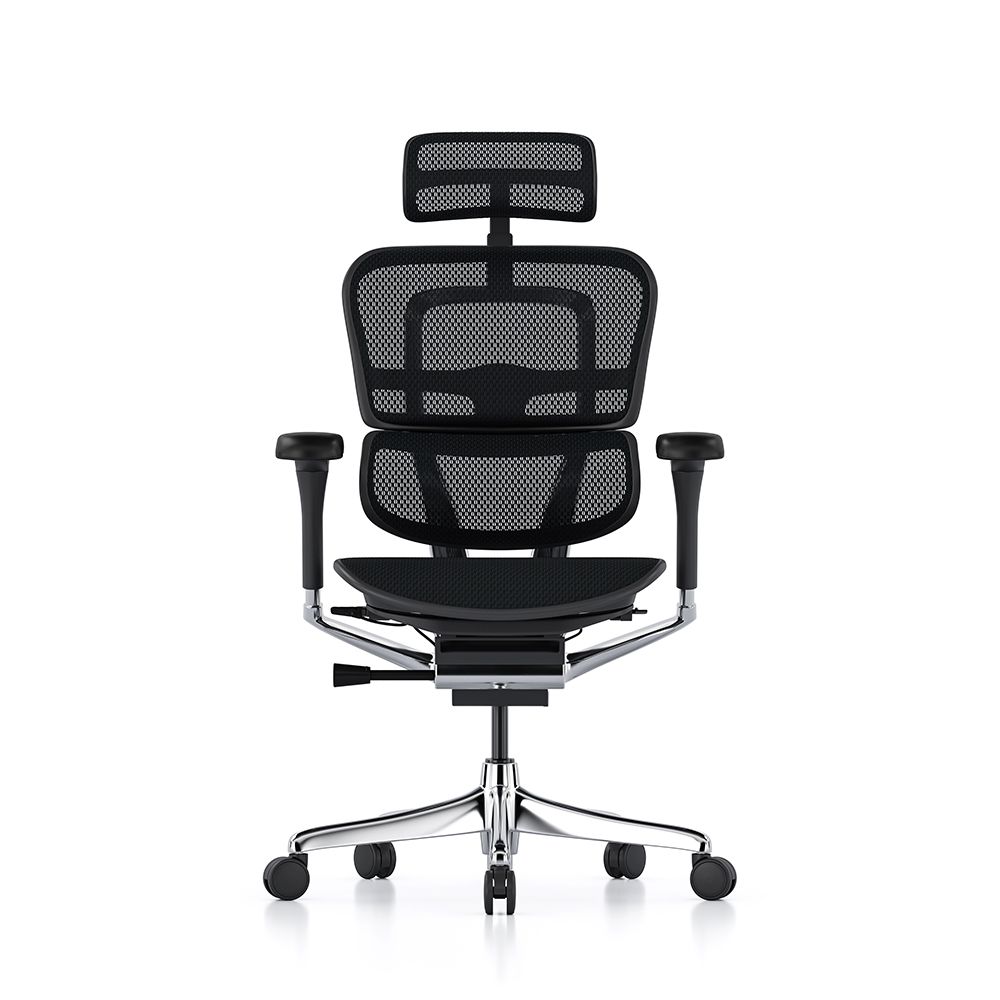 Ergohuman 2 Elite Mesh
