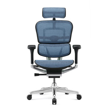 Ergohuman 2 Elite Mesh Blue