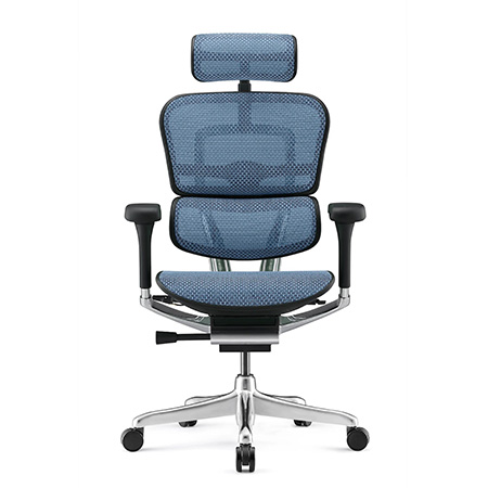 Ergohuman 2 Elite Mesh Blue
