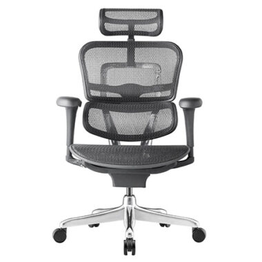 Ergohuman 2 Project Mesh