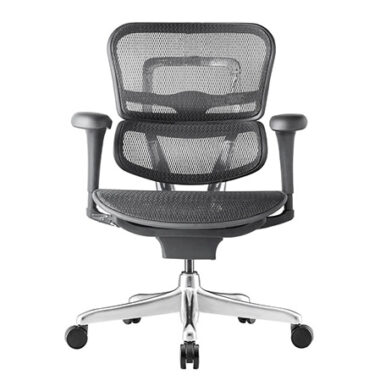 Ergohuman 2 Project Mesh no Headrest