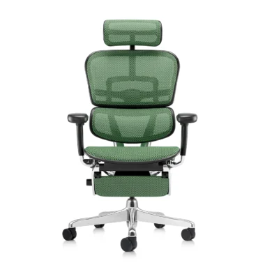 Ergohuman 2 Elite Mesh II Green Legrest