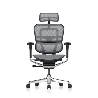 Ergohuman 2 Elite Mesh II Grey