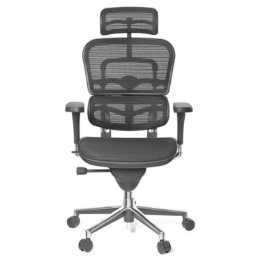 Ergohuman Classic Mesh