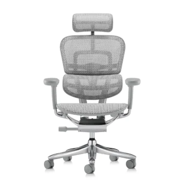 Ergohuman 2 Elite Platinum Mesh II