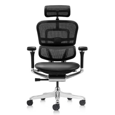 Ergohuman 2 Luxury Leather Mesh Combo