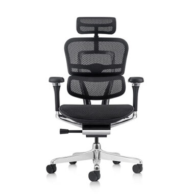 Ergohuman 2 Luxury Mesh